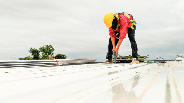 Best Metal Roofing Installation  in Dresden, TN